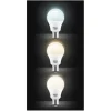 Hot Ampoule LAMP LED 23 Led, Ampoules