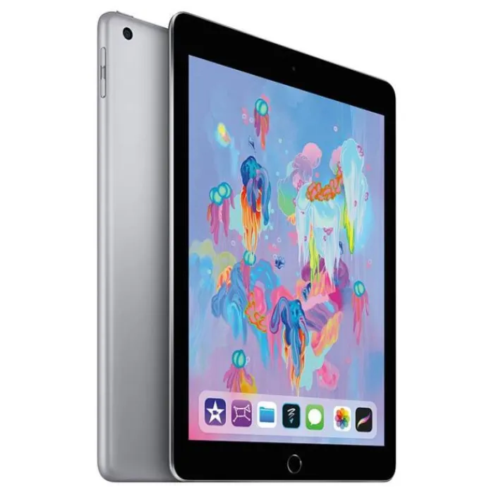 Clearance iPad 5 (2017) 9,7" 32Go Gris WiFi - Reconditionné grade éco+ Coque Ipad Reconditionné