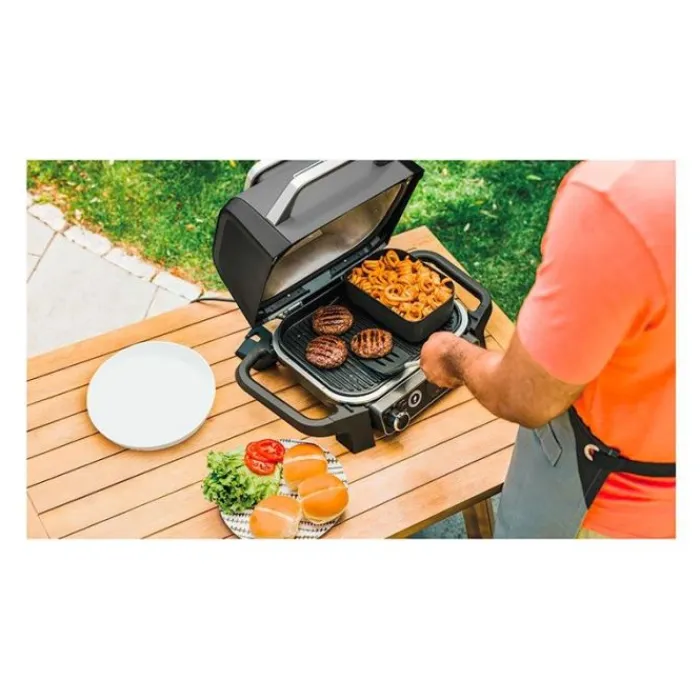 Online Barbecue de table WOODFIRE OG701EU Barbecue Électrique