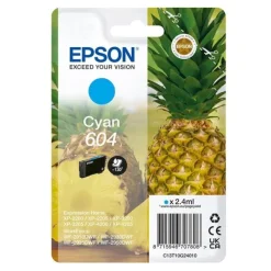 Best Cartouche 604 Ananas Cyan Cartouche Imprimante Pour Epson