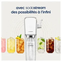 Sale Concentré LIMONADE 440ML Concentré Soda, Bouteille