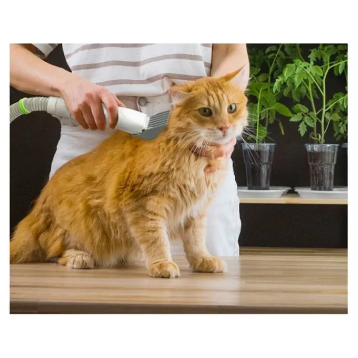 Discount Kit de toilettage animaux avec 8 accessoires Produits Animaux