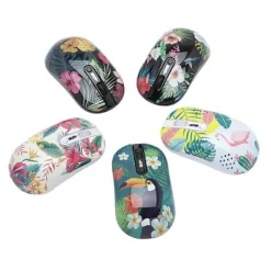 Clearance Souris sans fil 5 designs panachés (choix du coloris uniquement en magasin) Souris, Tapis