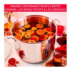 Hot Traiteur intuition XL 12L 28cm Faitout