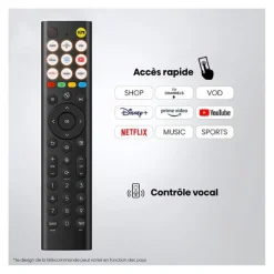 Sale TV QLED 65